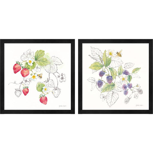 Berries and Bees A by Cynthia Coulter, 2 Piece Black Framed Art Set