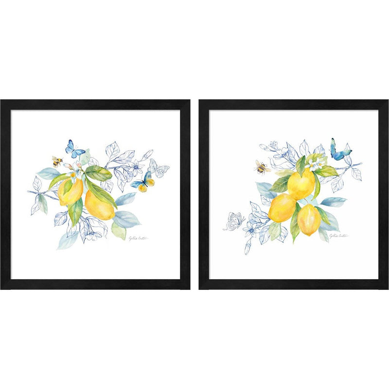 Lemon Sketch Book by Cynthia Coulter, 2 Piece Black Framed Art Set