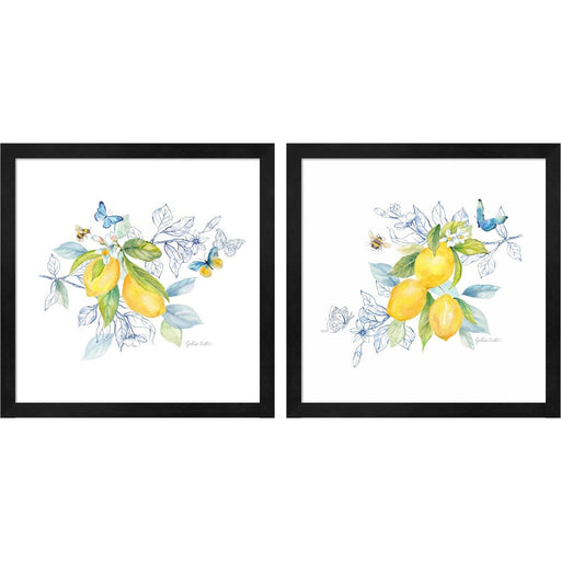 Lemon Sketch Book by Cynthia Coulter, 2 Piece Black Framed Art Set