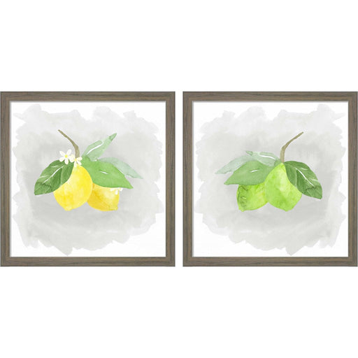 Lifes Sweet B by Tara Reed, 2 Piece Rustic Grey Framed Art Set