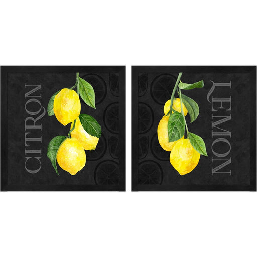 Live with Zest B by Tara Reed, 2 Piece Black Framed Art Set