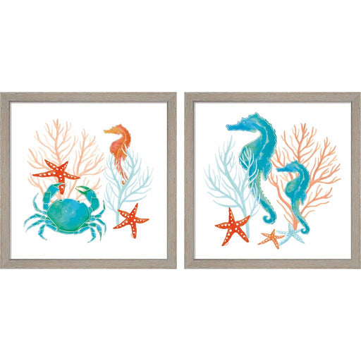 Coral Aqua A by Tara Reed, 2 Piece Rustic White Framed Art Set