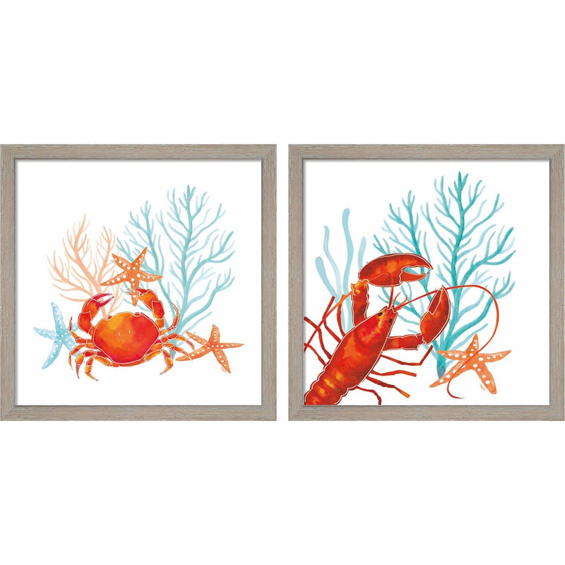 Coral Aqua B by Tara Reed, 2 Piece Rustic White Framed Art Set