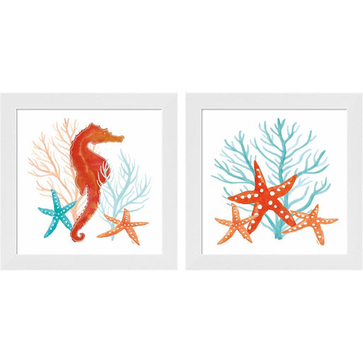 Coral Aqua D by Tara Reed, 2 Piece White Framed Art Set