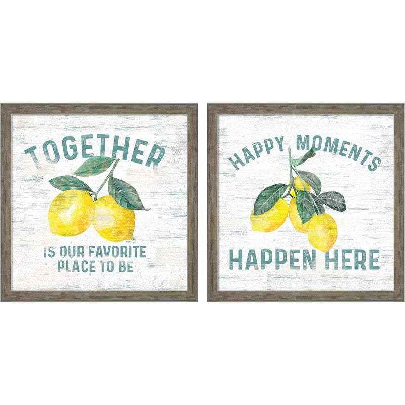 Happy Thoughts on White A by Tara Reed, 2 Piece Rustic Grey Framed Art Set