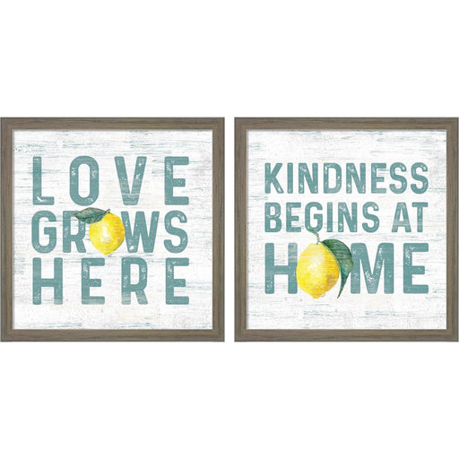 Happy Thoughts on White B by Tara Reed, 2 Piece Rustic Grey Framed Art Set