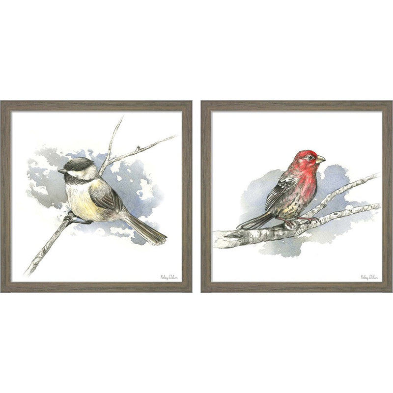 Birds & Branches - Chickadee & House Finch by Kelsey Wilson, 2 Piece Rustic Grey Framed Art Set