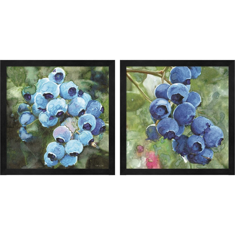 Blueberries by Stellar Design Studio, 2 Piece Black Framed Art Set