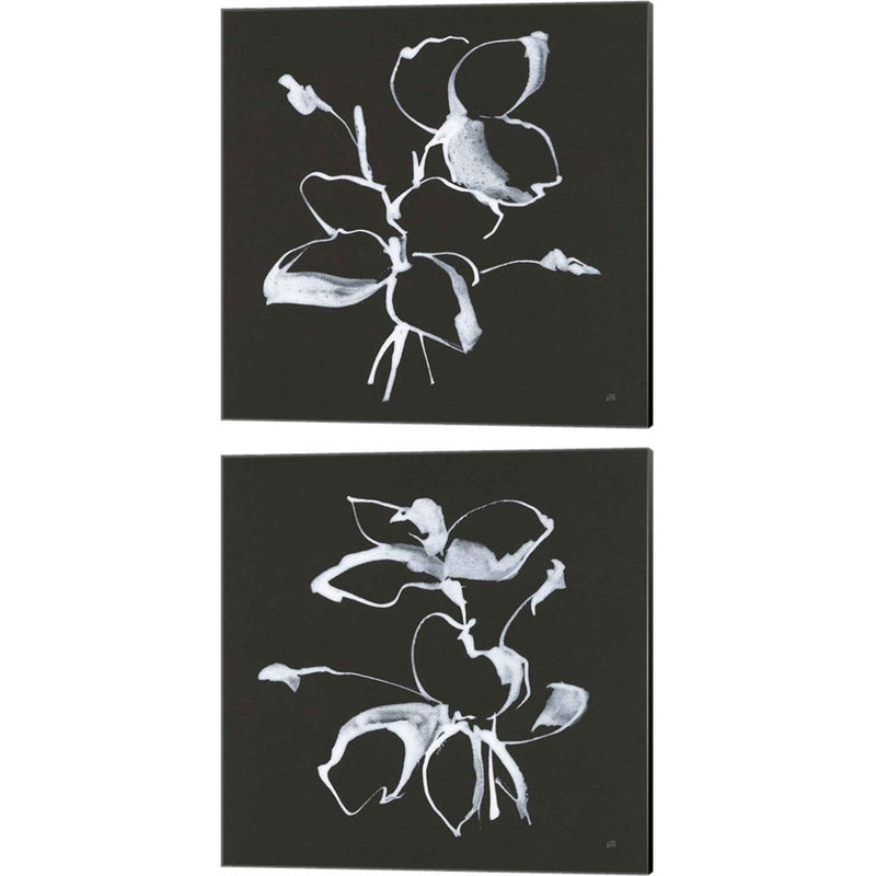 Wildflowers A by Chris Paschke, 2 Piece Canvas Art Set