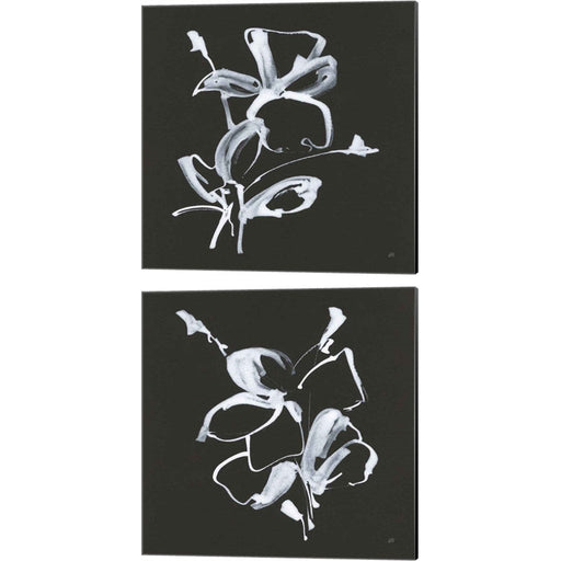 Wildflowers B by Chris Paschke, 2 Piece Canvas Art Set