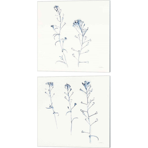 Shepherds Purse Stems Blue by Shirley Novak, 2 Piece Canvas Art Set