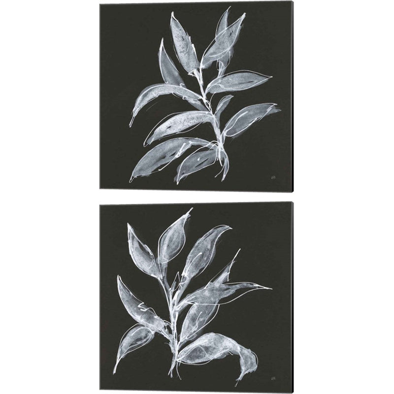 Branch A by Chris Paschke, 2 Piece Canvas Art Set