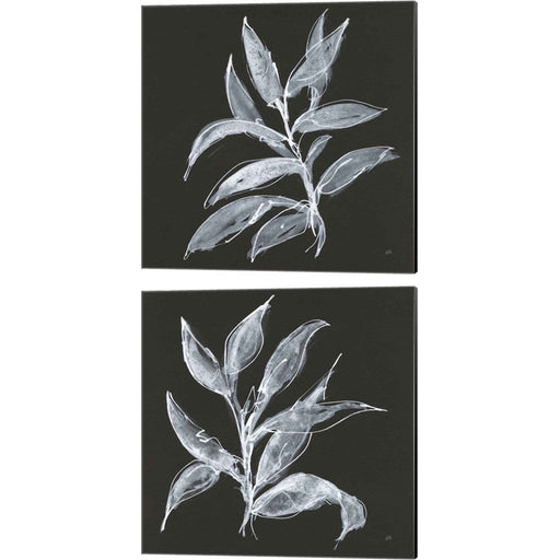Branch A by Chris Paschke, 2 Piece Canvas Art Set