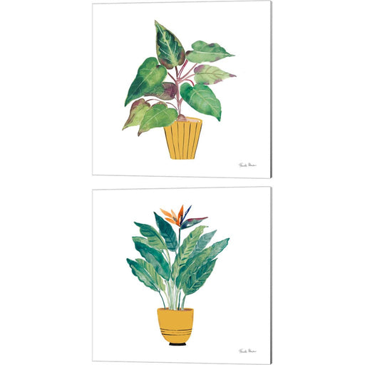 Potted Jewels by Farida Zaman, 2 Piece Canvas Art Set