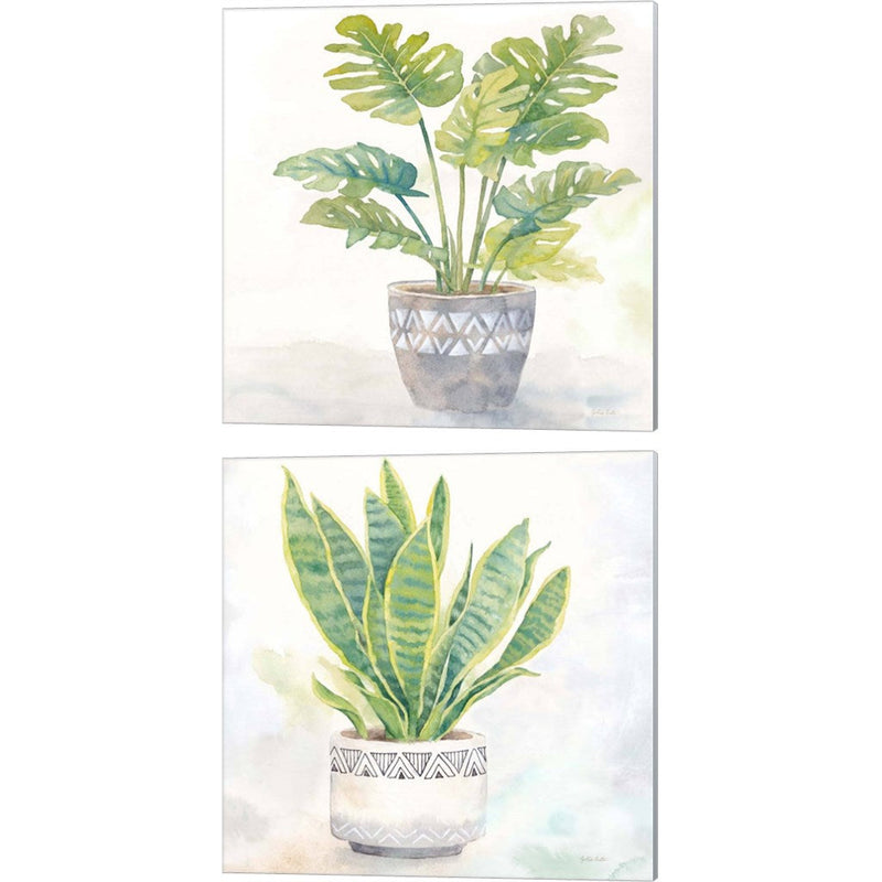 Houseplant (Split Leaf Philodendron & Snake Plant) by Cynthia Coulter, 2 Piece Canvas Art Set