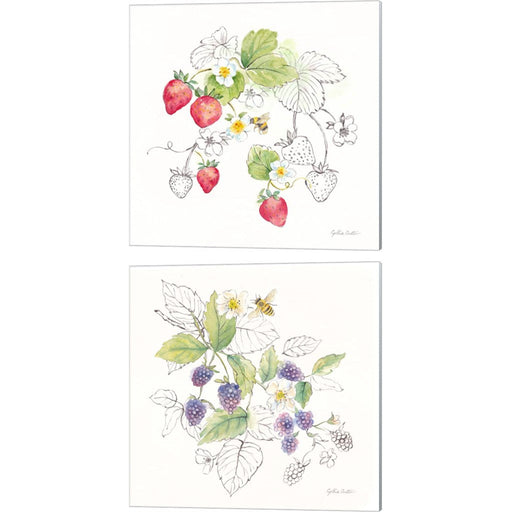 Berries and Bees A by Cynthia Coulter, 2 Piece Canvas Art Set