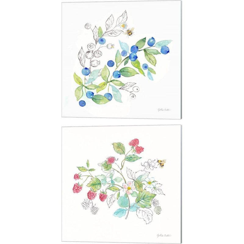 Berries and Bees B by Cynthia Coulter, 2 Piece Canvas Art Set