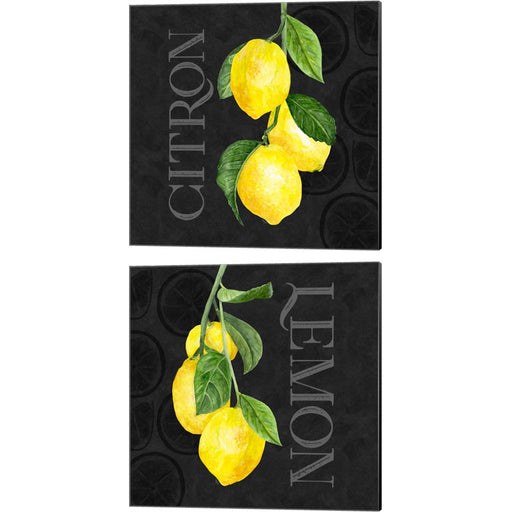 Live with Zest B by Tara Reed, 2 Piece Canvas Art Set