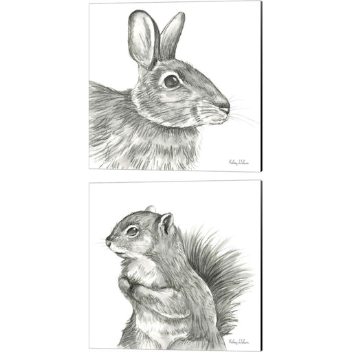 Watercolor Pencil Forest (Rabbit & Squirrel) by Kelsey Wilson, 2 Piece Canvas Art Set