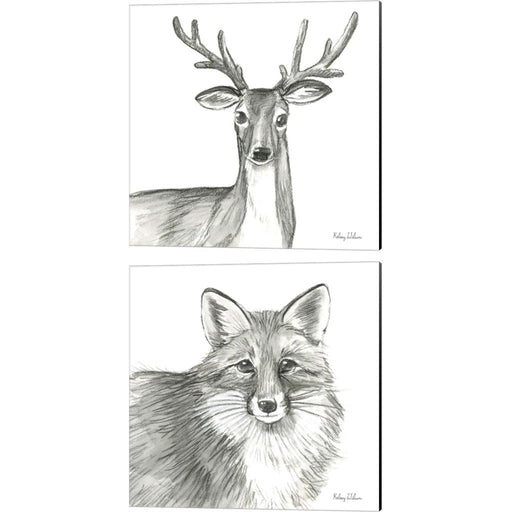 Watercolor Pencil Forest (Deer & Fox) by Kelsey Wilson, 2 Piece Canvas Art Set