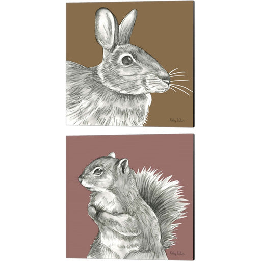 Watercolor Pencil Forest Color (Rabbit & Squirrel) by Kelsey Wilson, 2 Piece Canvas Art Set