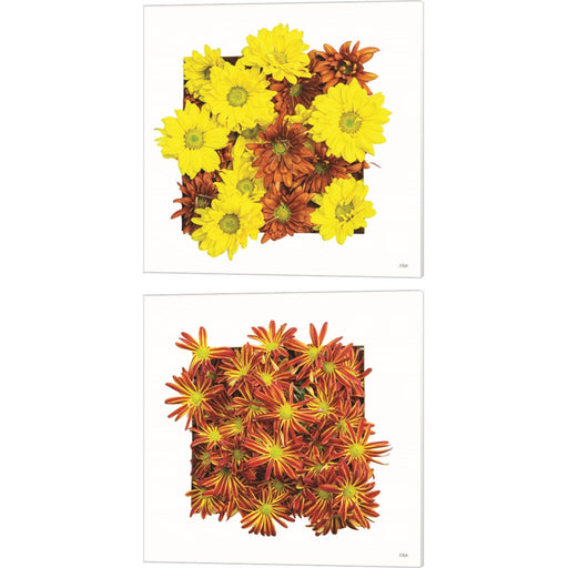 Floral Pop by Donnie Quillen, 2 Piece Canvas Art Set
