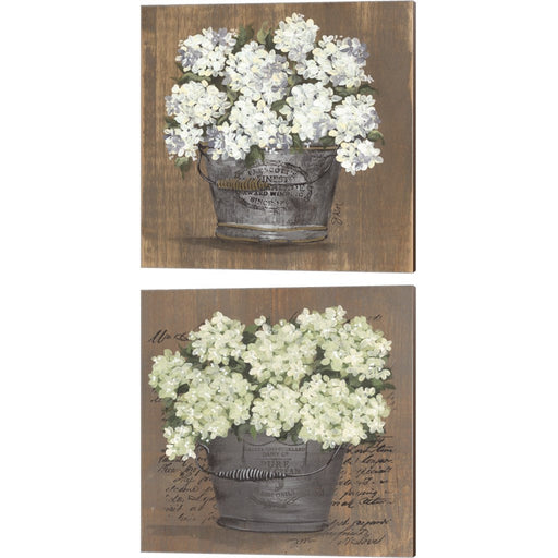 Heavenly Hydrangeas by Julie Norkus, 2 Piece Canvas Art Set