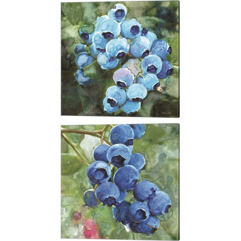 Blueberries by Stellar Design Studio, 2 Piece Canvas Art Set