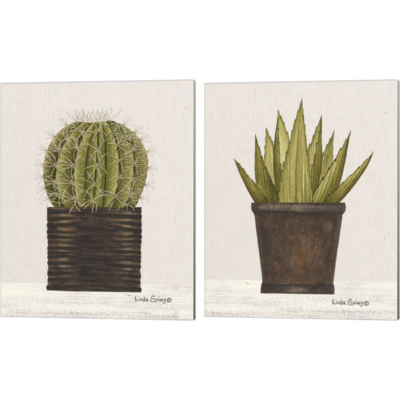 Potted Cactus & Aloe Vera by Linda Spivey, 2 Piece Canvas Art Set