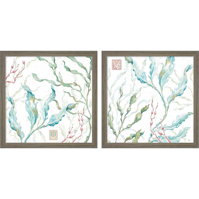 Delicate Sea C by Daphne Brissonnet, 2 Piece Rustic Grey Framed Art Set