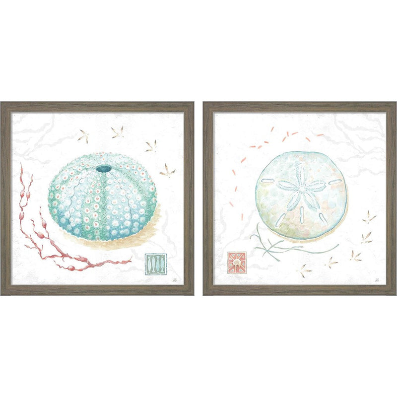 Delicate Sea D by Daphne Brissonnet, 2 Piece Rustic Grey Framed Art Set