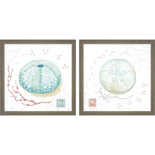Delicate Sea D by Daphne Brissonnet, 2 Piece Rustic Grey Framed Art Set