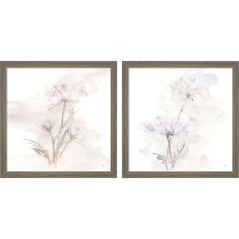 Queen Annes Lace A by Chris Paschke, 2 Piece Rustic Grey Framed Art Set