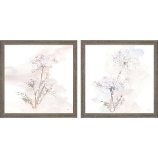 Queen Annes Lace A by Chris Paschke, 2 Piece Rustic Grey Framed Art Set