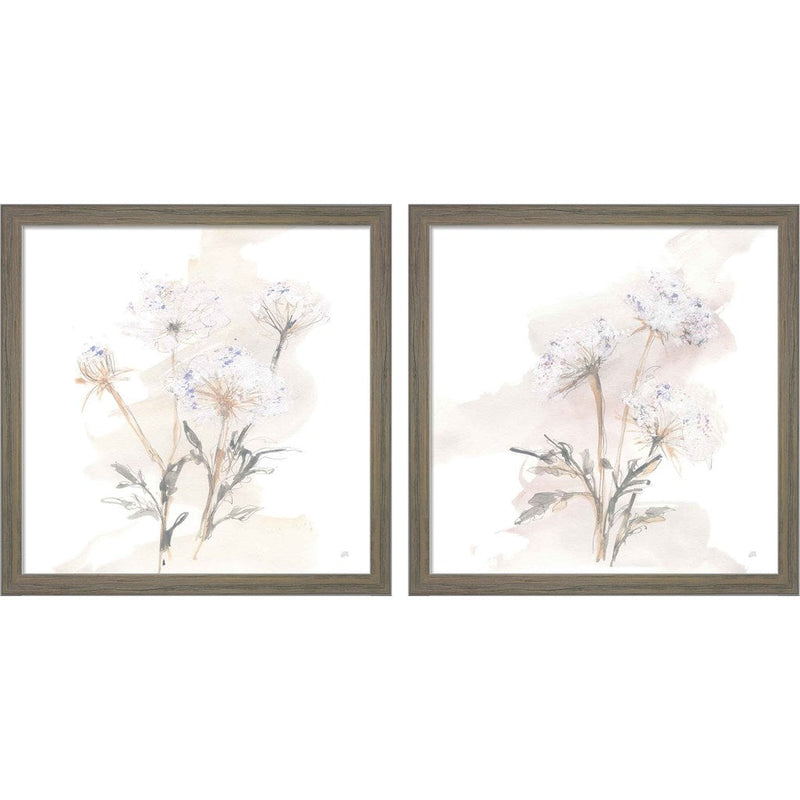 Queen Annes Lace B by Chris Paschke, 2 Piece Rustic Grey Framed Art Set