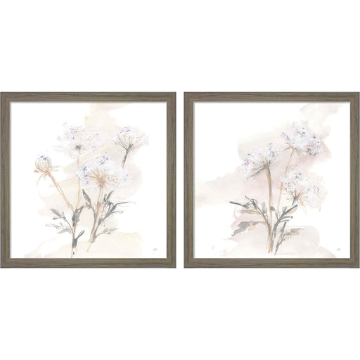 Queen Annes Lace B by Chris Paschke, 2 Piece Rustic Grey Framed Art Set