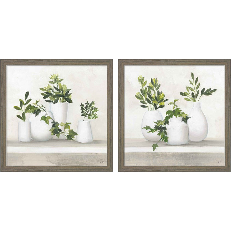 Plant Life by Julia Purinton, 2 Piece Rustic Grey Framed Art Set