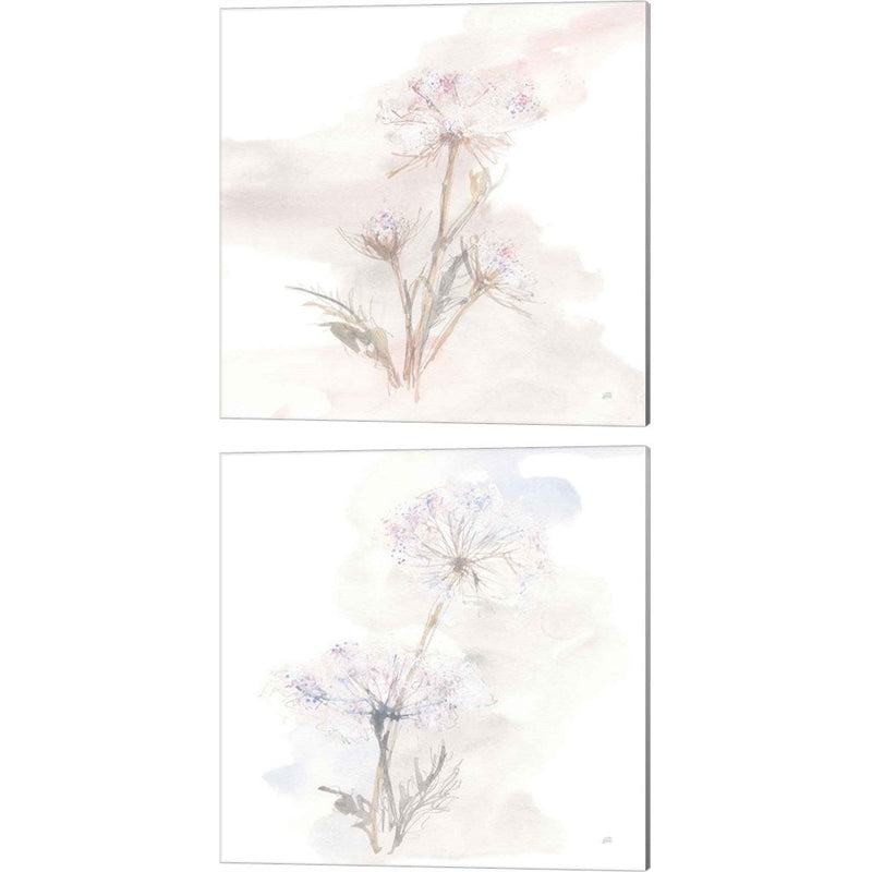 Queen Annes Lace A by Chris Paschke, 2 Piece Canvas Art Set