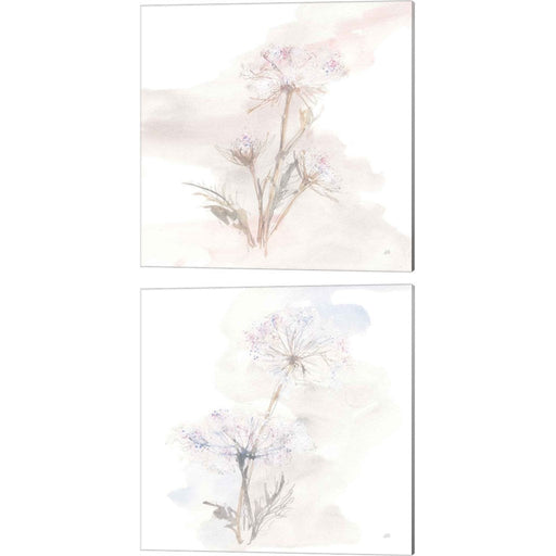 Queen Annes Lace A by Chris Paschke, 2 Piece Canvas Art Set