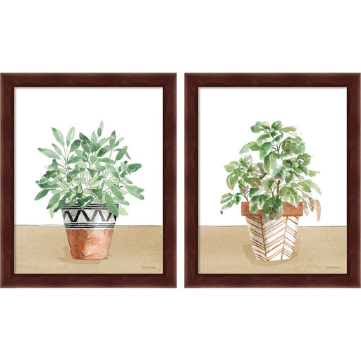 Herb Garden White by Beth Grove, 2 Piece Brown Framed Art Set