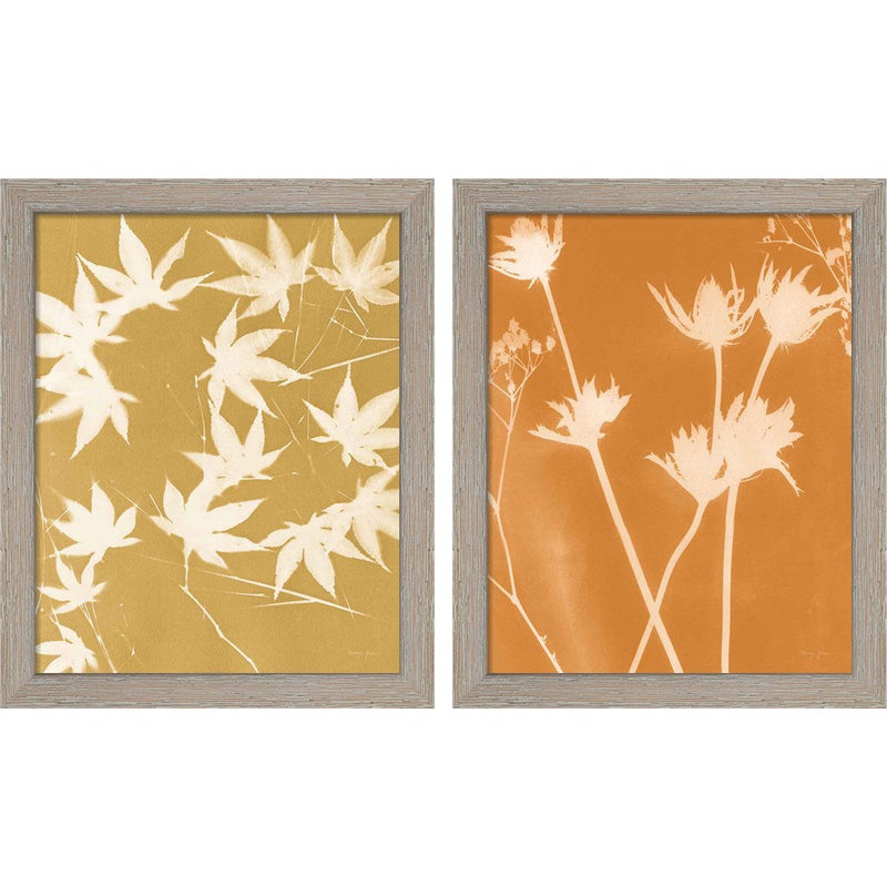 Enchanted Fall Cyanotype by Nancy Green, 2 Piece Rustic White Framed Art Set