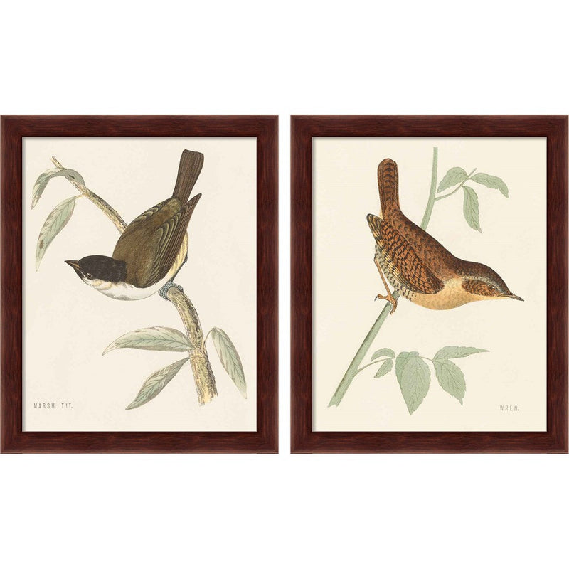 Engraved Birds by Wild Apple Portfolio, 2 Piece Brown Framed Art Set