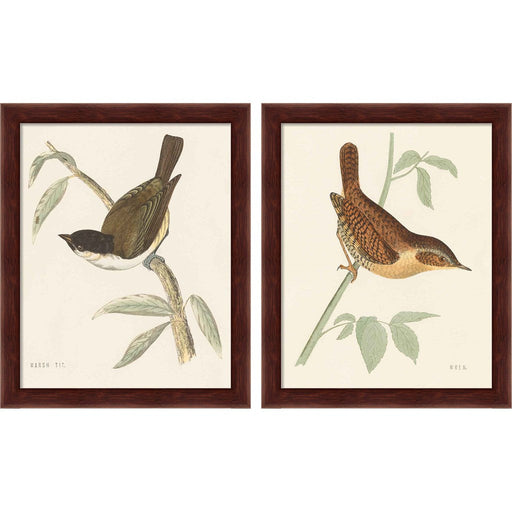 Engraved Birds by Wild Apple Portfolio, 2 Piece Brown Framed Art Set