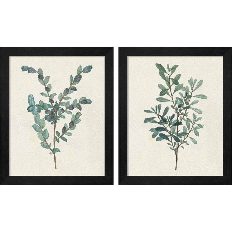 Victorian Garden Greenery by Wild Apple Portfolio, 2 Piece Black Framed Art Set
