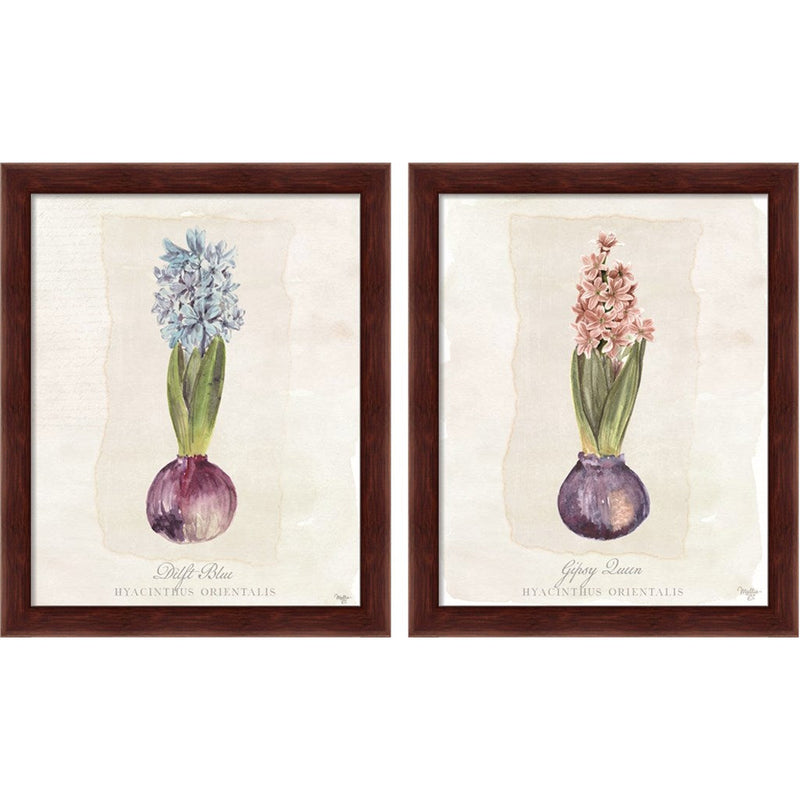 Hyacinthus Orientalis by Mollie B., 2 Piece Brown Framed Art Set