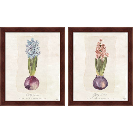 Hyacinthus Orientalis by Mollie B., 2 Piece Brown Framed Art Set