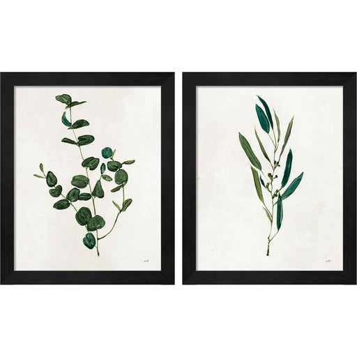 Botanical Study Greenery by Julia Purinton, 2 Piece Black Framed Art Set