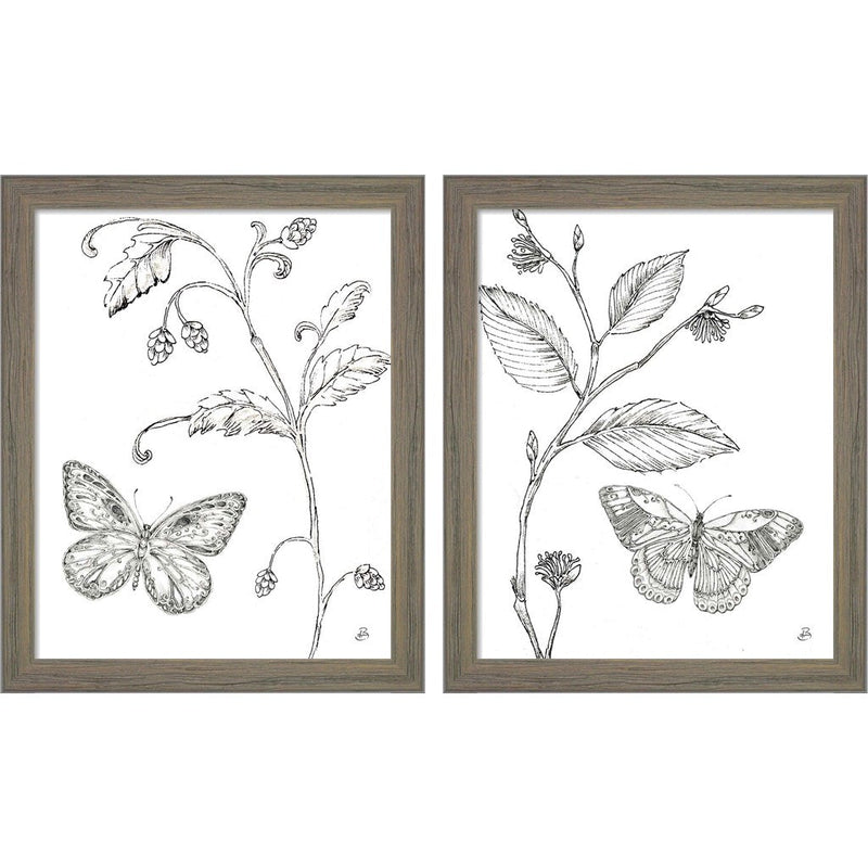 Outdoor Beauties Butterfly by Daphne Brissonnet, 2 Piece Rustic Gray Framed Art Set