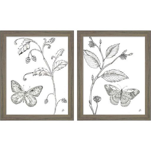 Outdoor Beauties Butterfly by Daphne Brissonnet, 2 Piece Rustic Gray Framed Art Set