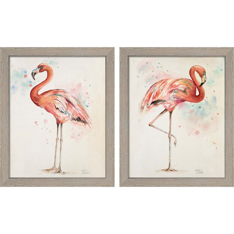 Flamingo by Patricia Pinto, 2 Piece Rustic White Framed Art Set